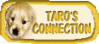 TARO'S CONNECTION